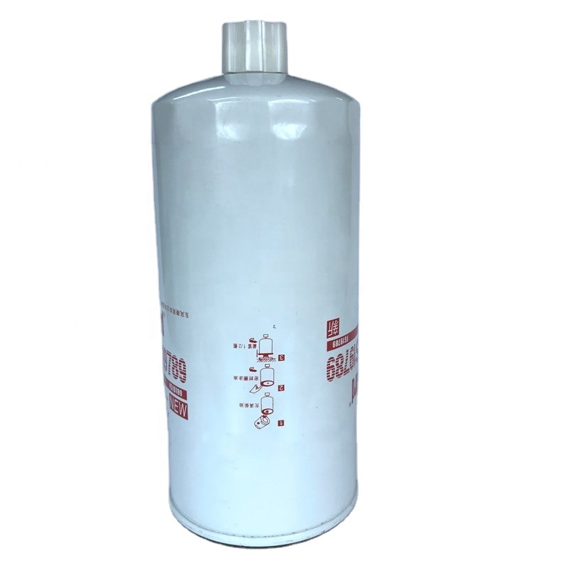 FS19789 Popular Diesel Fuel Filter China Manufacturer